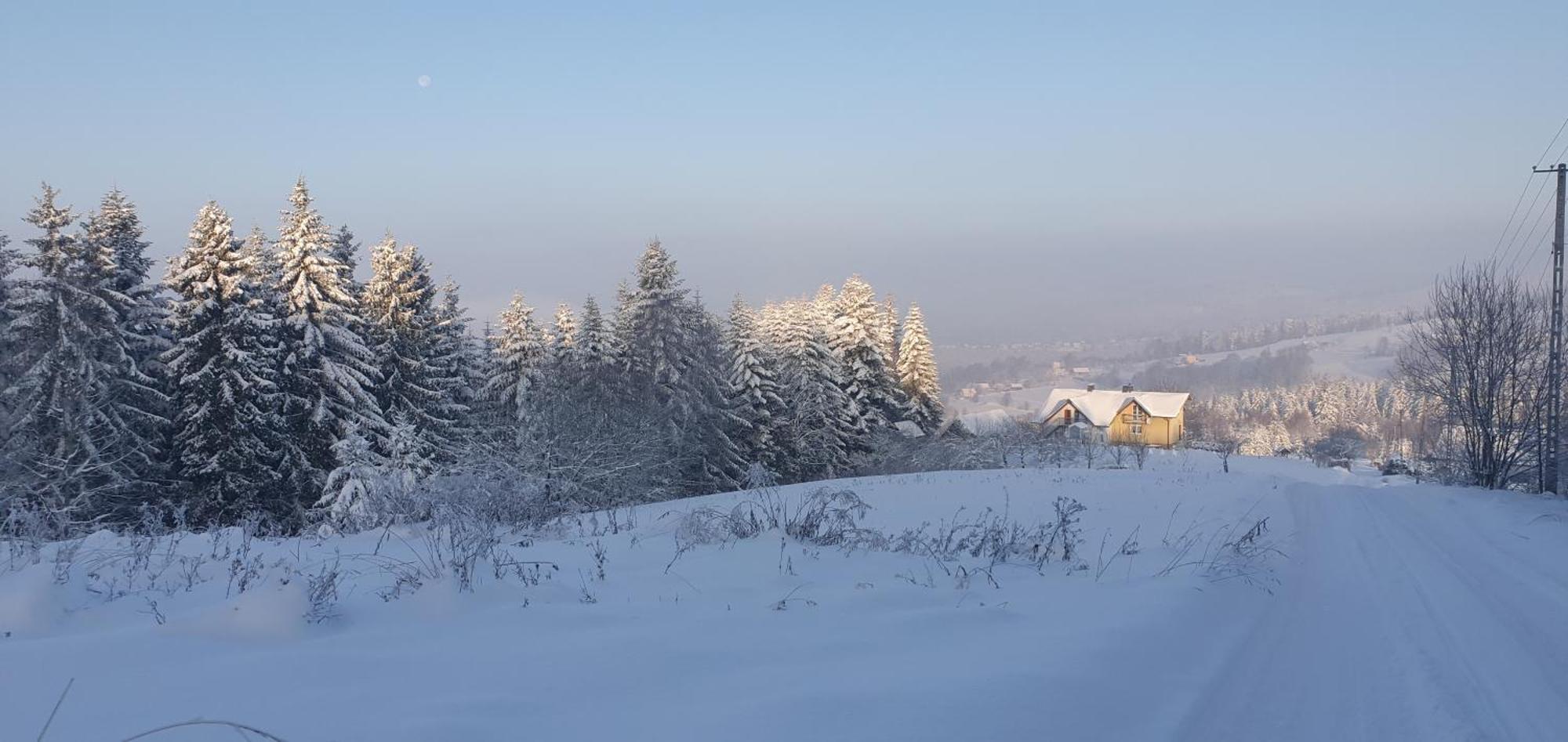Agroturystyka Koronkowe Zacisze Koniaków المظهر الخارجي الصورة
