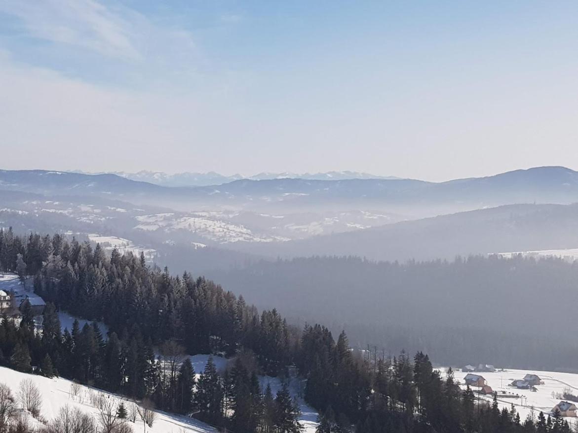 Agroturystyka Koronkowe Zacisze Koniaków المظهر الخارجي الصورة