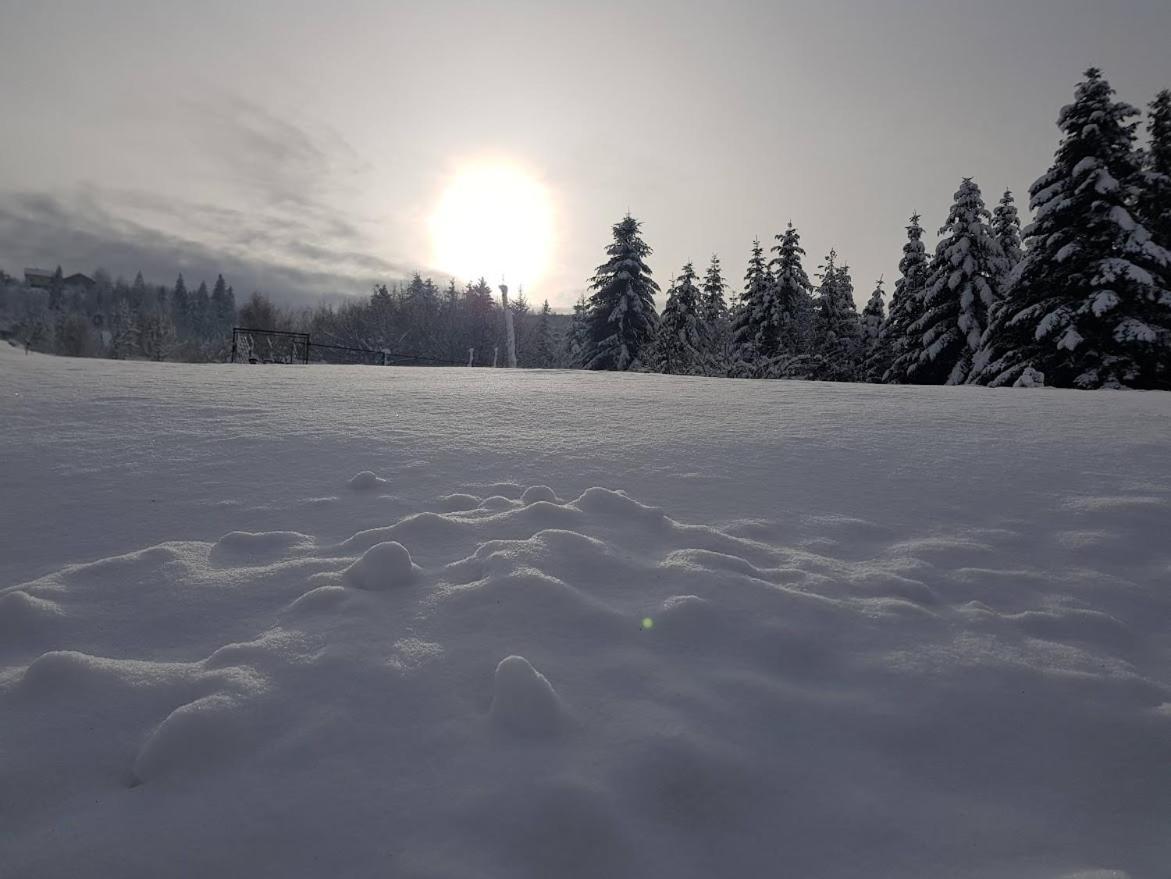 Agroturystyka Koronkowe Zacisze Koniaków المظهر الخارجي الصورة