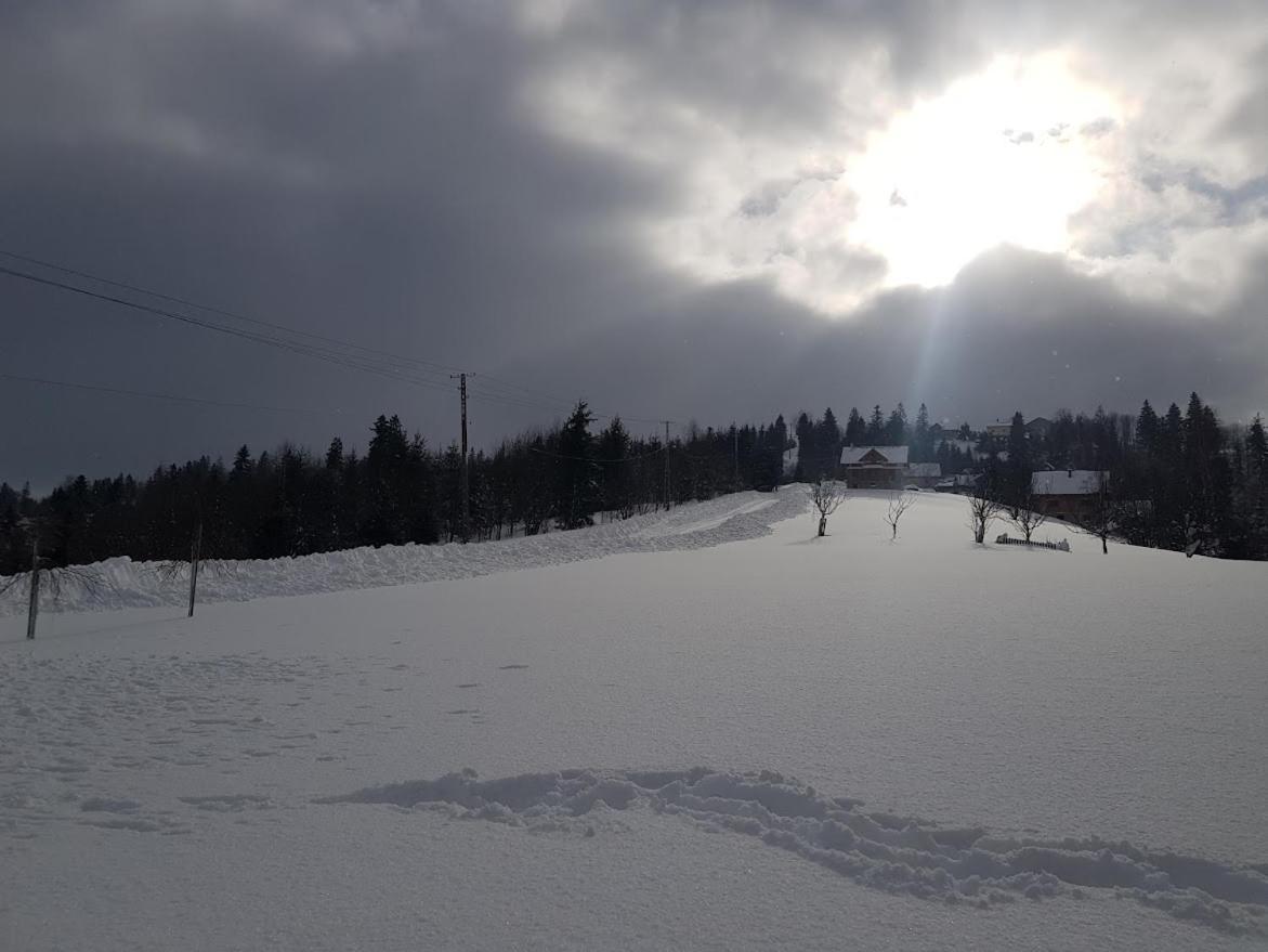 Agroturystyka Koronkowe Zacisze Koniaków المظهر الخارجي الصورة