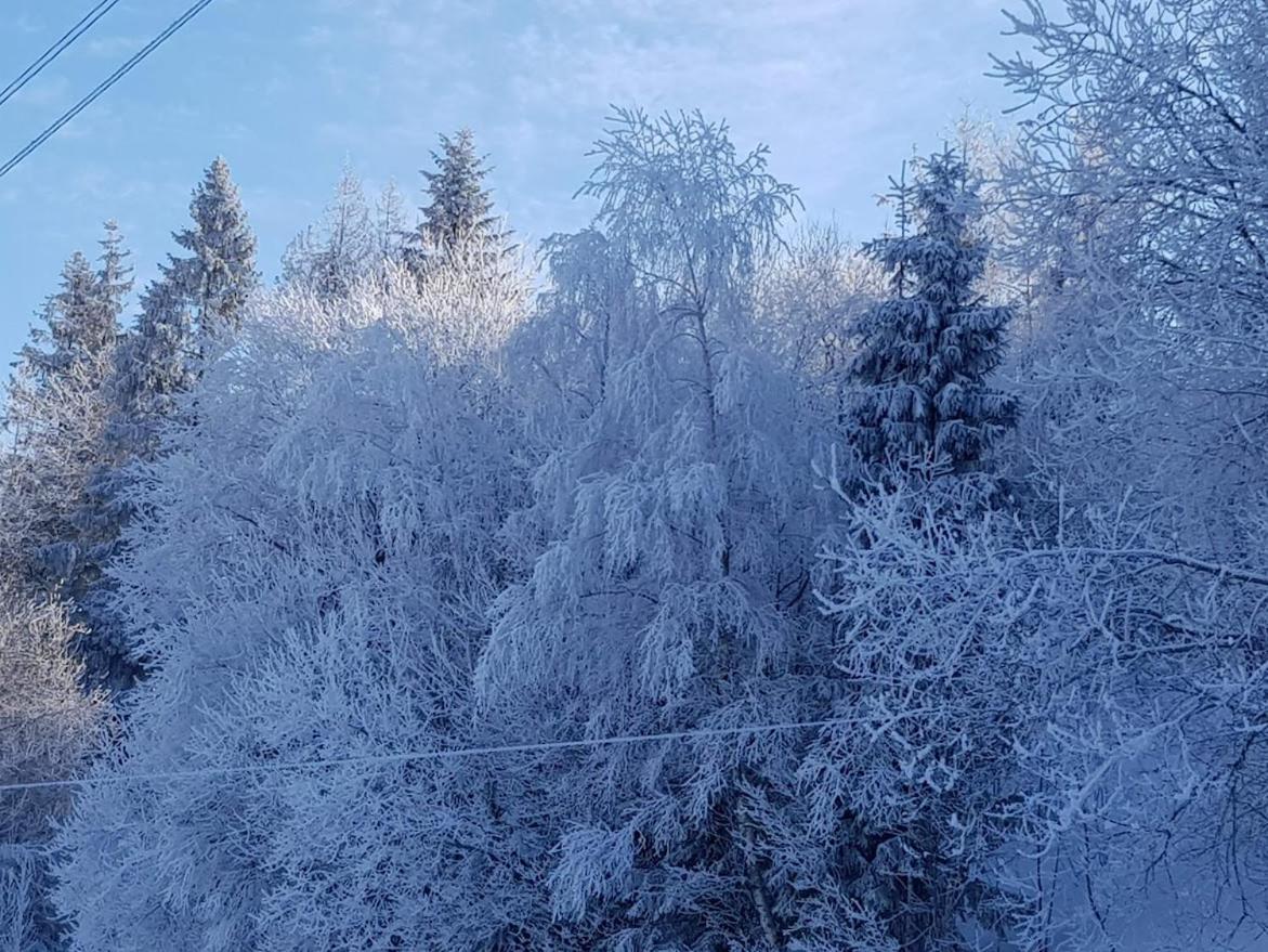Agroturystyka Koronkowe Zacisze Koniaków المظهر الخارجي الصورة
