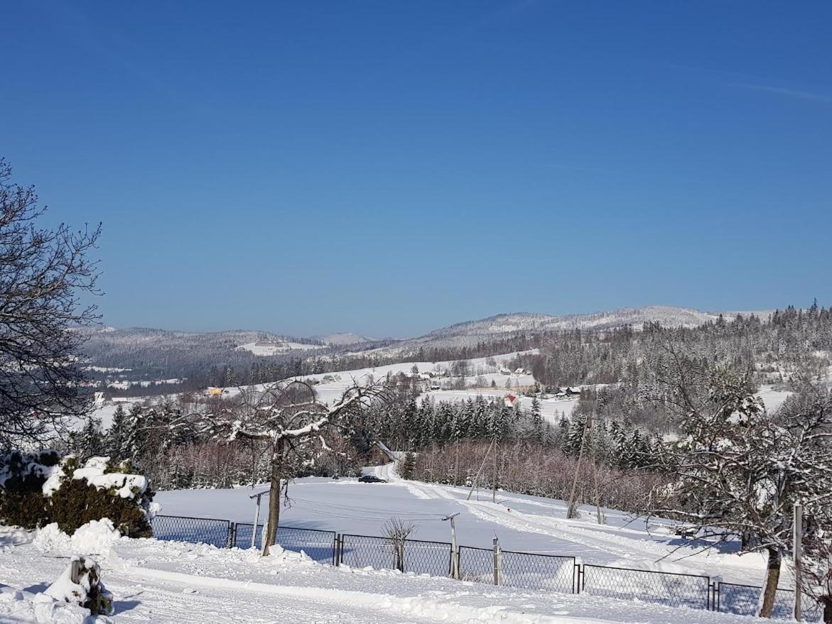 Agroturystyka Koronkowe Zacisze Koniaków المظهر الخارجي الصورة